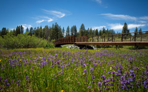 LTCC Greenway Trail